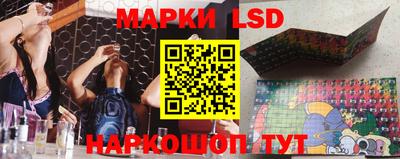 стафф Лесосибирск