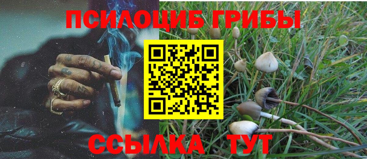 Псилоцибиновые грибы мухоморы  Вход с VPN  цена   Клинцы  Галлюциногенные грибы MAGIC MUSHROOMS 